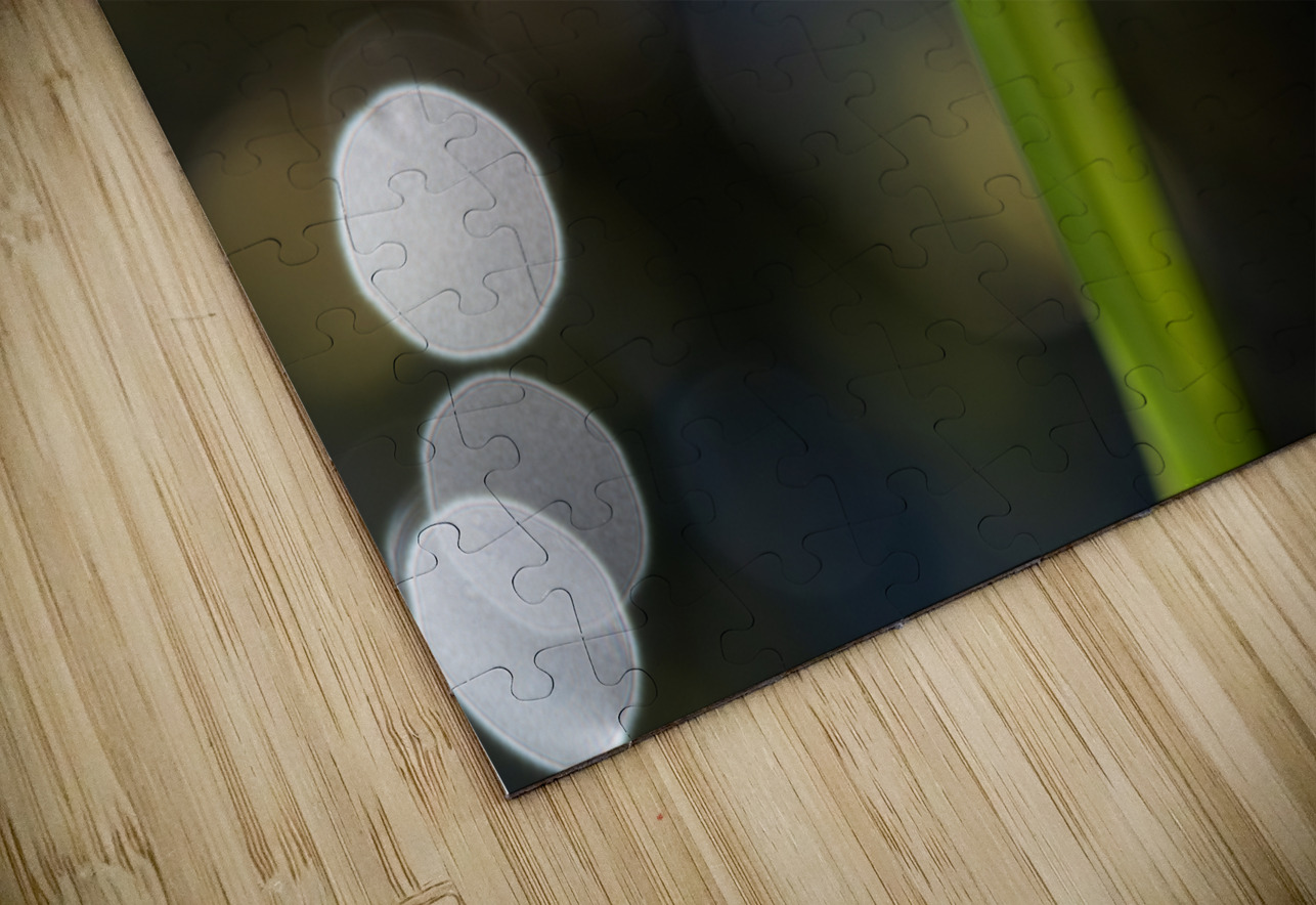 Threeleaf Arrowhead Suzanne Bonin Puzzle