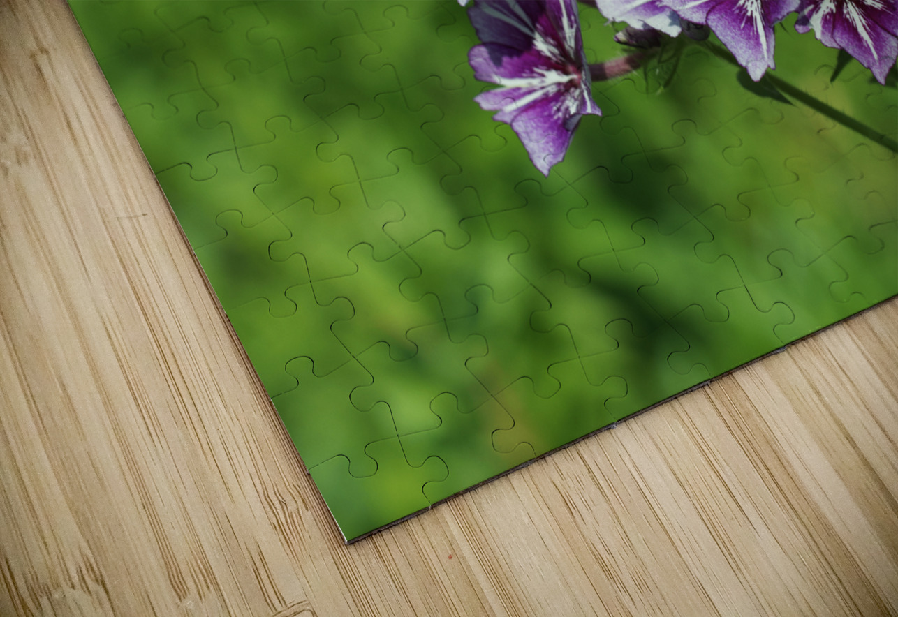 Phlox Bouquet Suzanne Bonin Puzzle