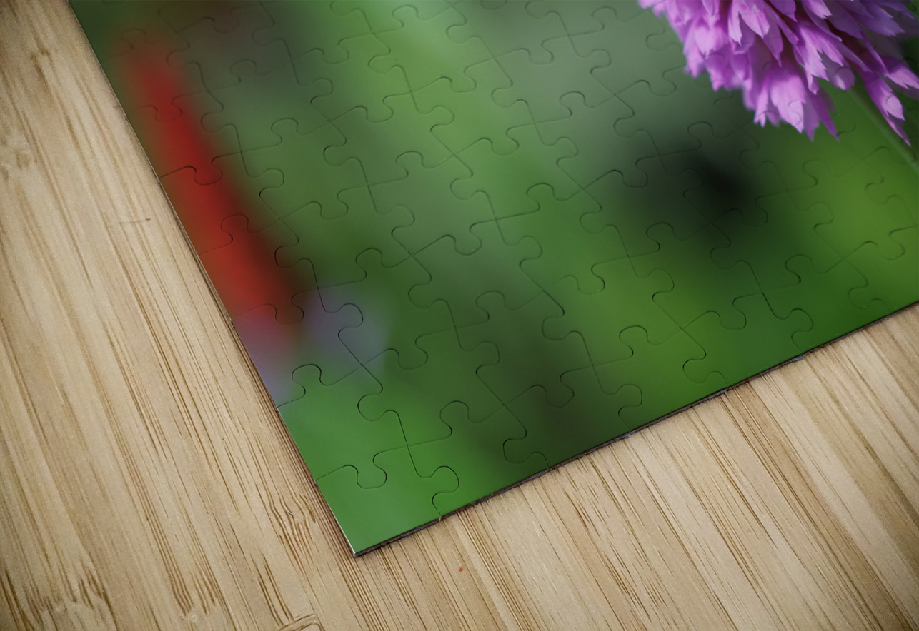 Vialii Suzanne Bonin Puzzle