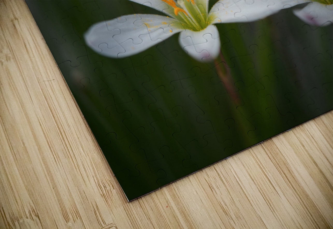 Swamp Lily Suzanne Bonin Puzzle