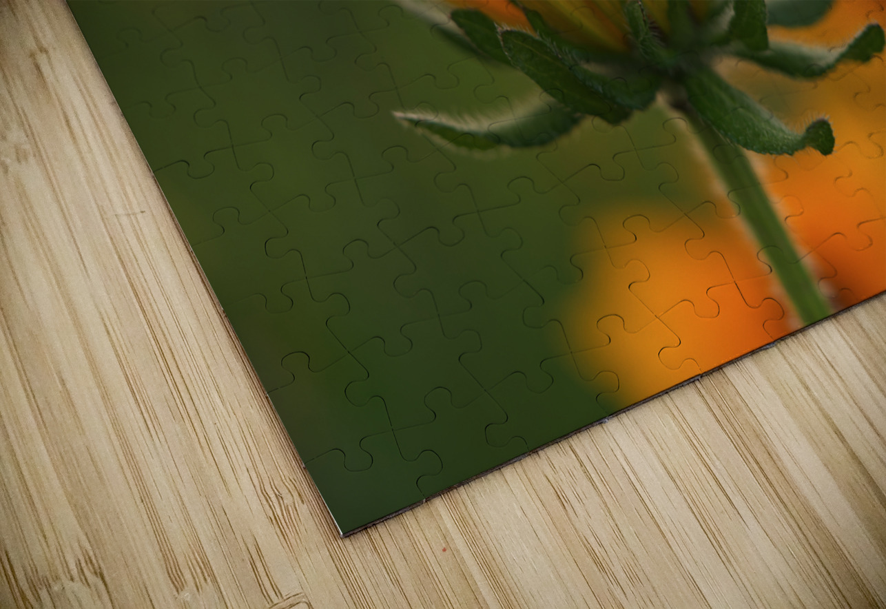 Another Day Suzanne Bonin Puzzle