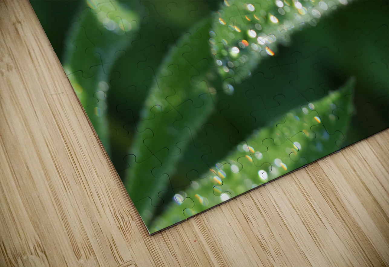 Droplets Suzanne Bonin Puzzle