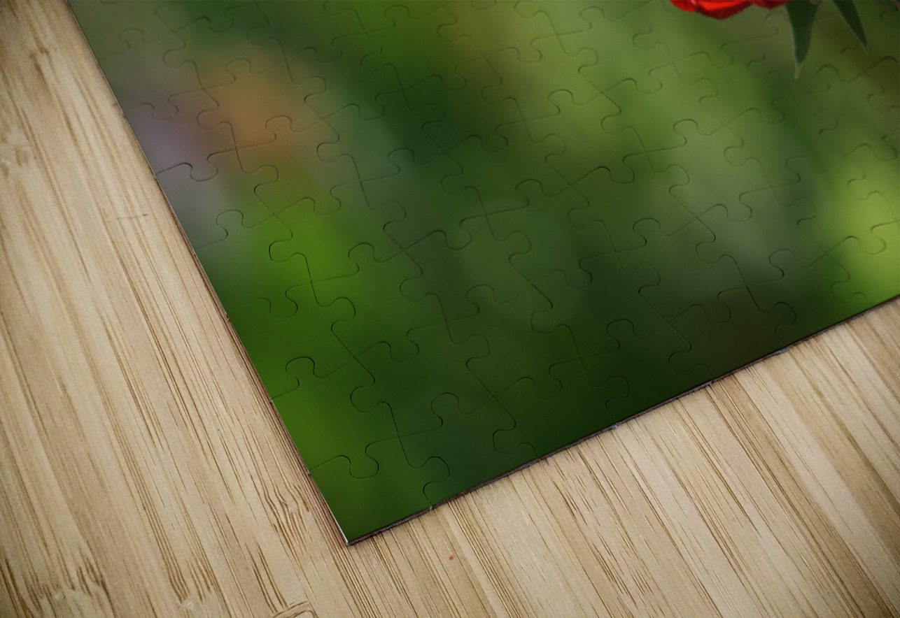 Dazzler Suzanne Bonin Puzzle