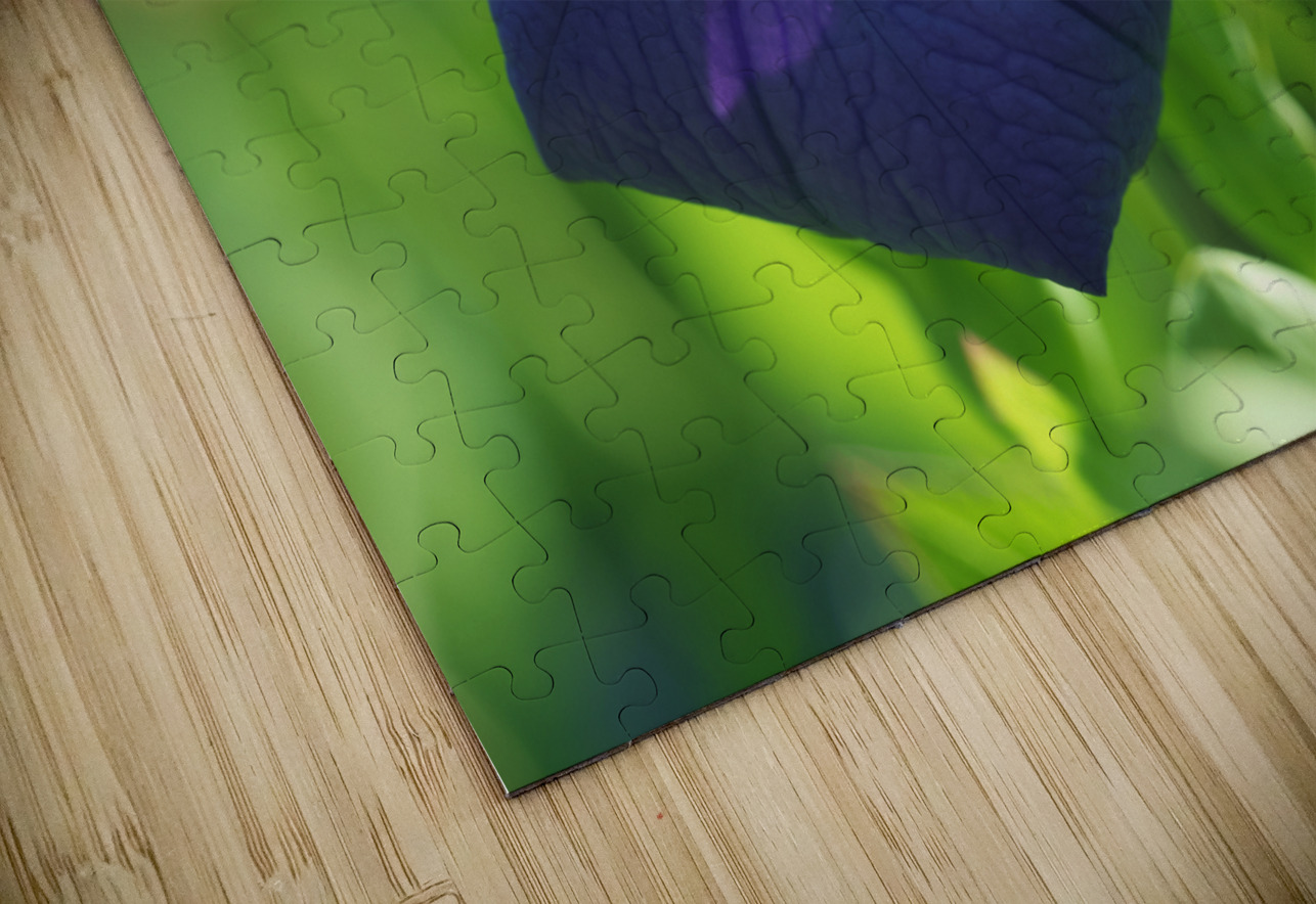 Coin coin Suzanne Bonin Puzzle