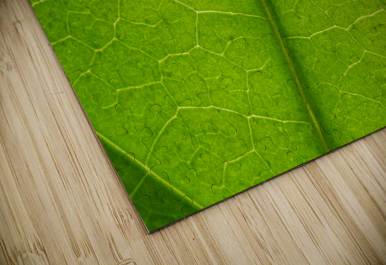 Leaf Texture Suzanne Bonin Puzzle