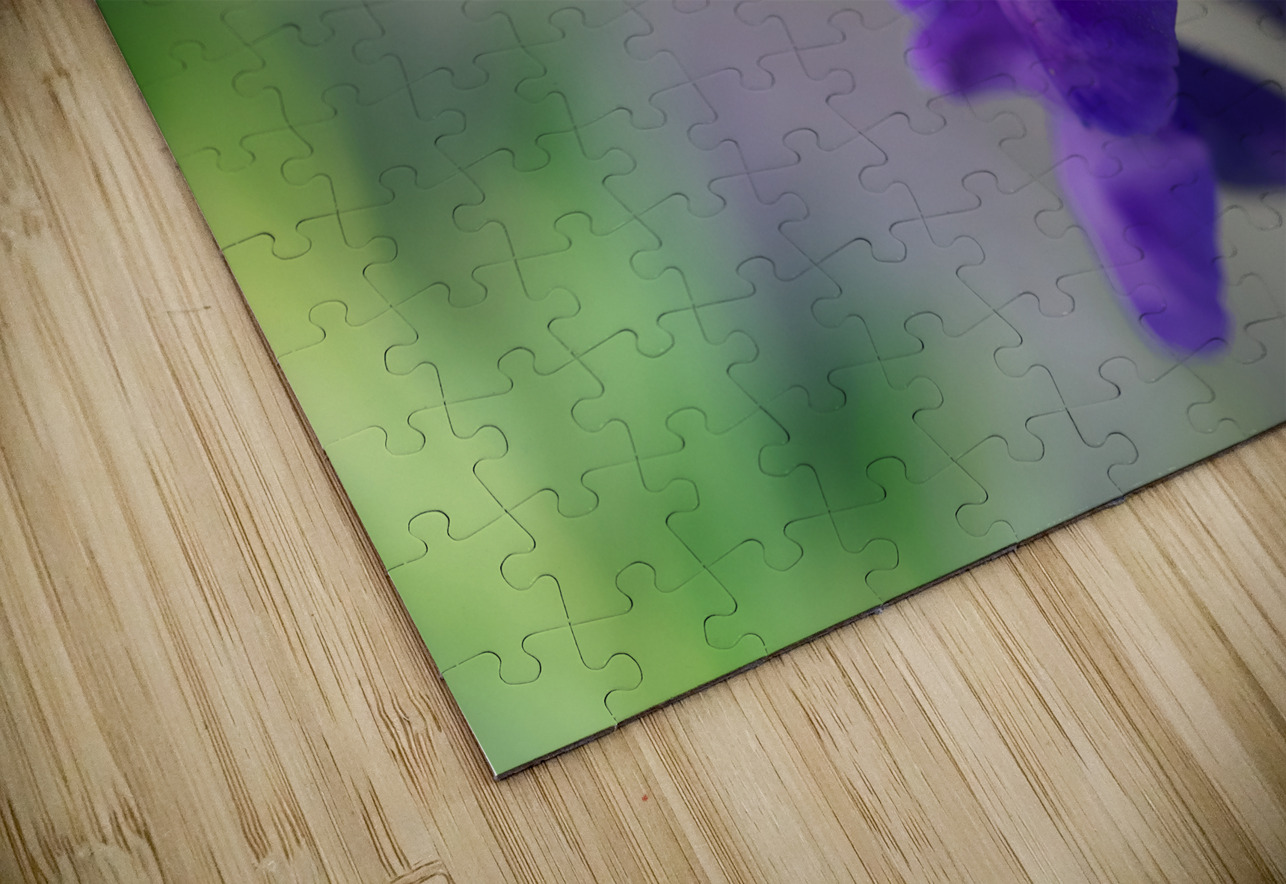 Teasers Suzanne Bonin Puzzle