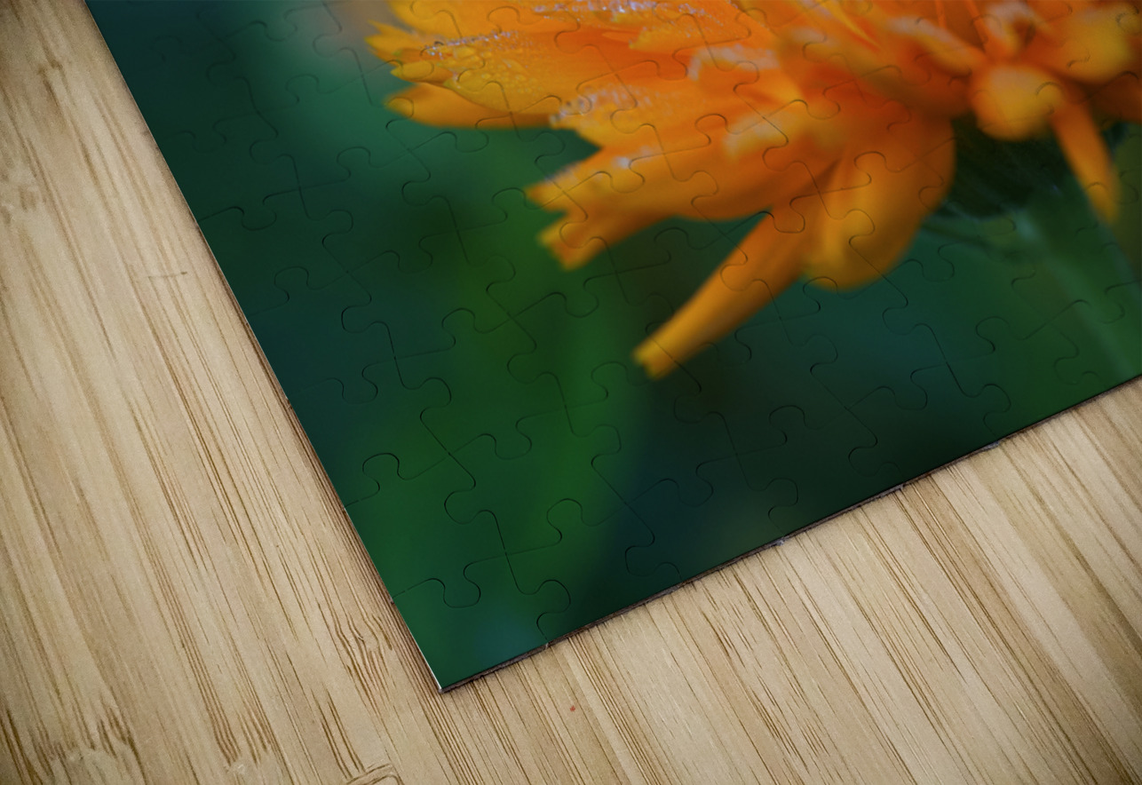 Ruddle Suzanne Bonin Puzzle