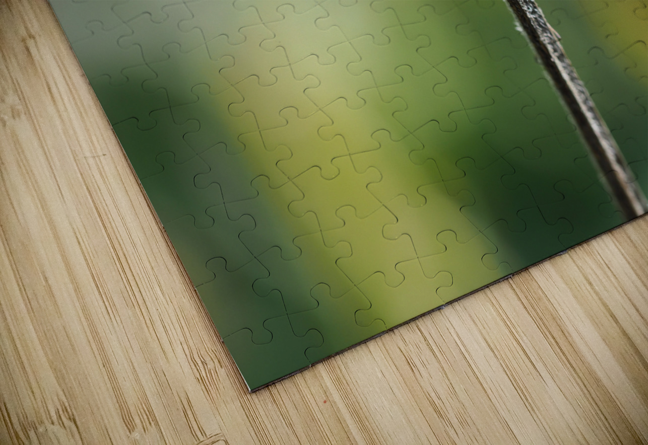 Dragonfly Suzanne Bonin Puzzle