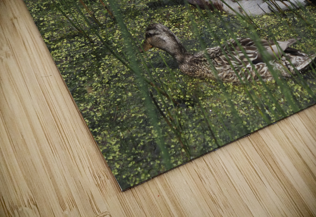 Sauve Qui Peut Suzanne Bonin Puzzle