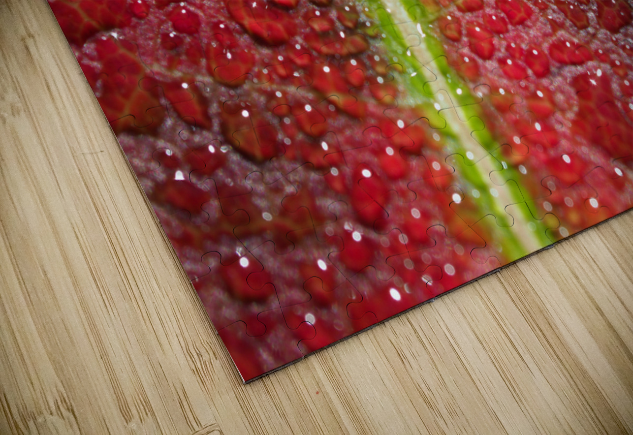 Maple Leaf Suzanne Bonin Puzzle