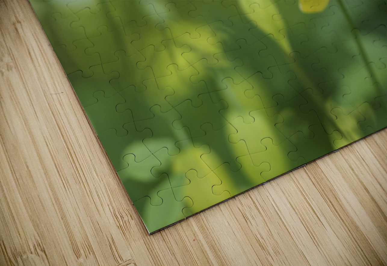 Golden Tiara Suzanne Bonin Puzzle