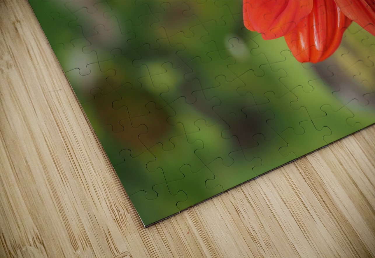 Red Dahlia Suzanne Bonin Puzzle