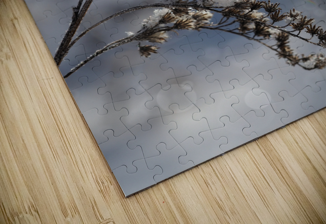 Frosted Twig Suzanne Bonin Puzzle