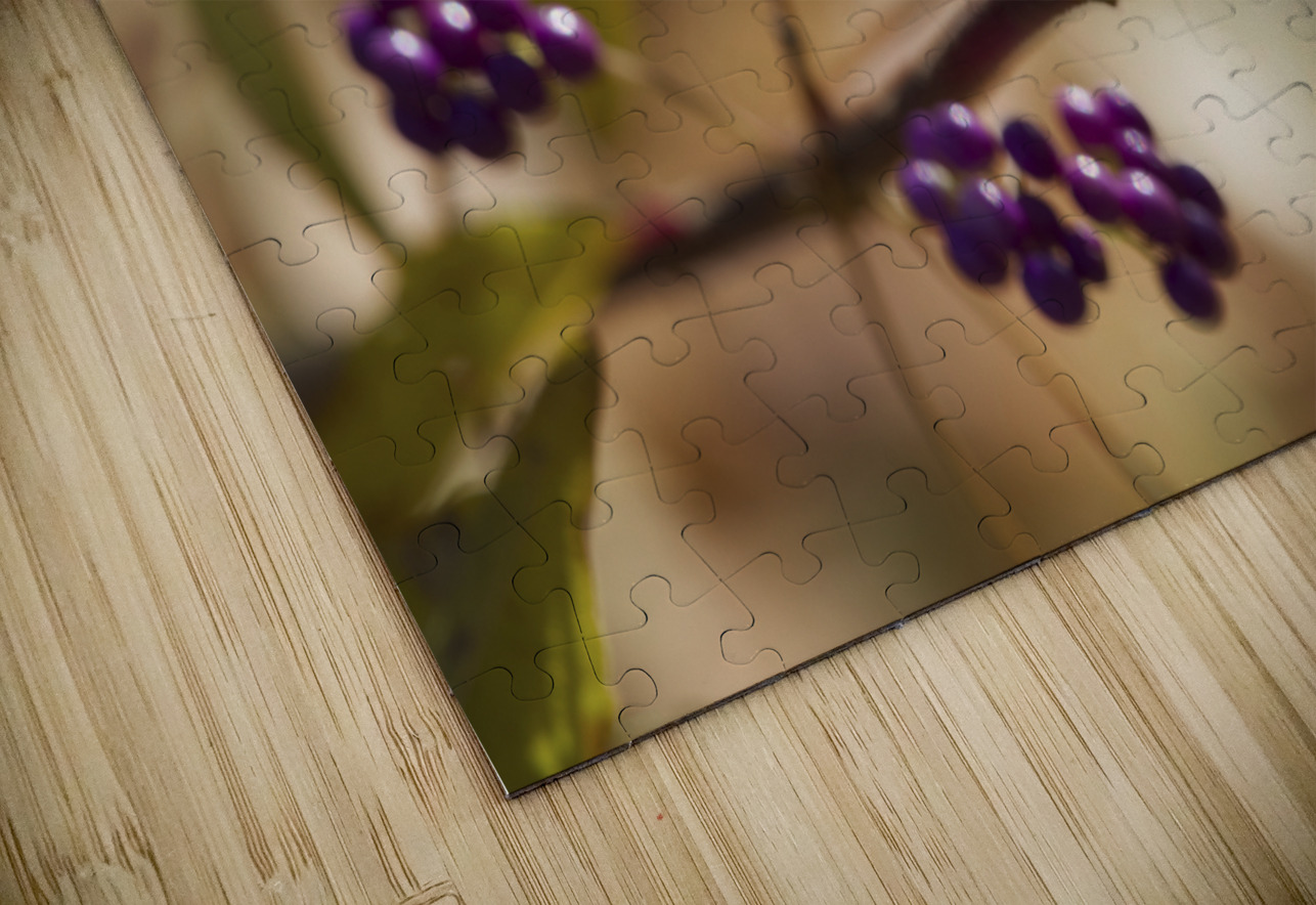 Profusion Suzanne Bonin Puzzle