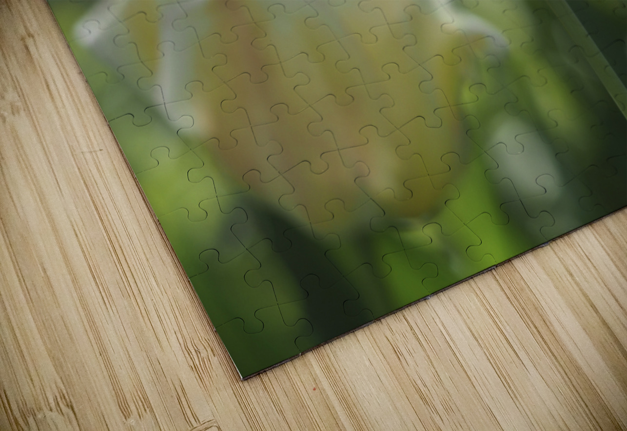 Simple Beauty Suzanne Bonin Puzzle