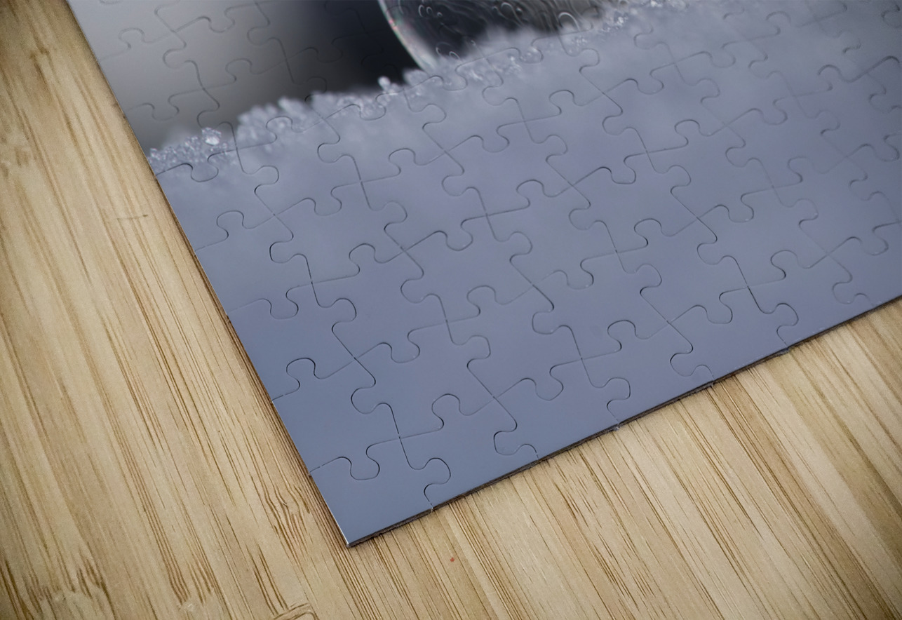 Soap Bubble Suzanne Bonin Puzzle