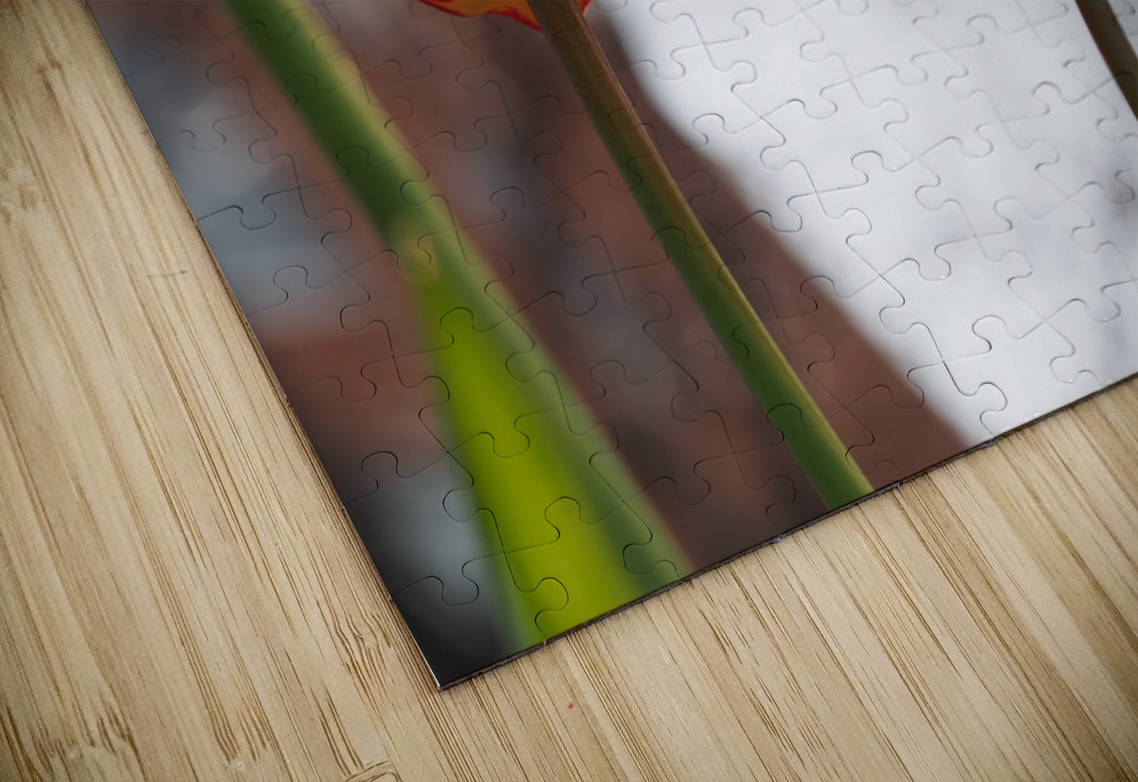 Twin Sisters Suzanne Bonin Puzzle