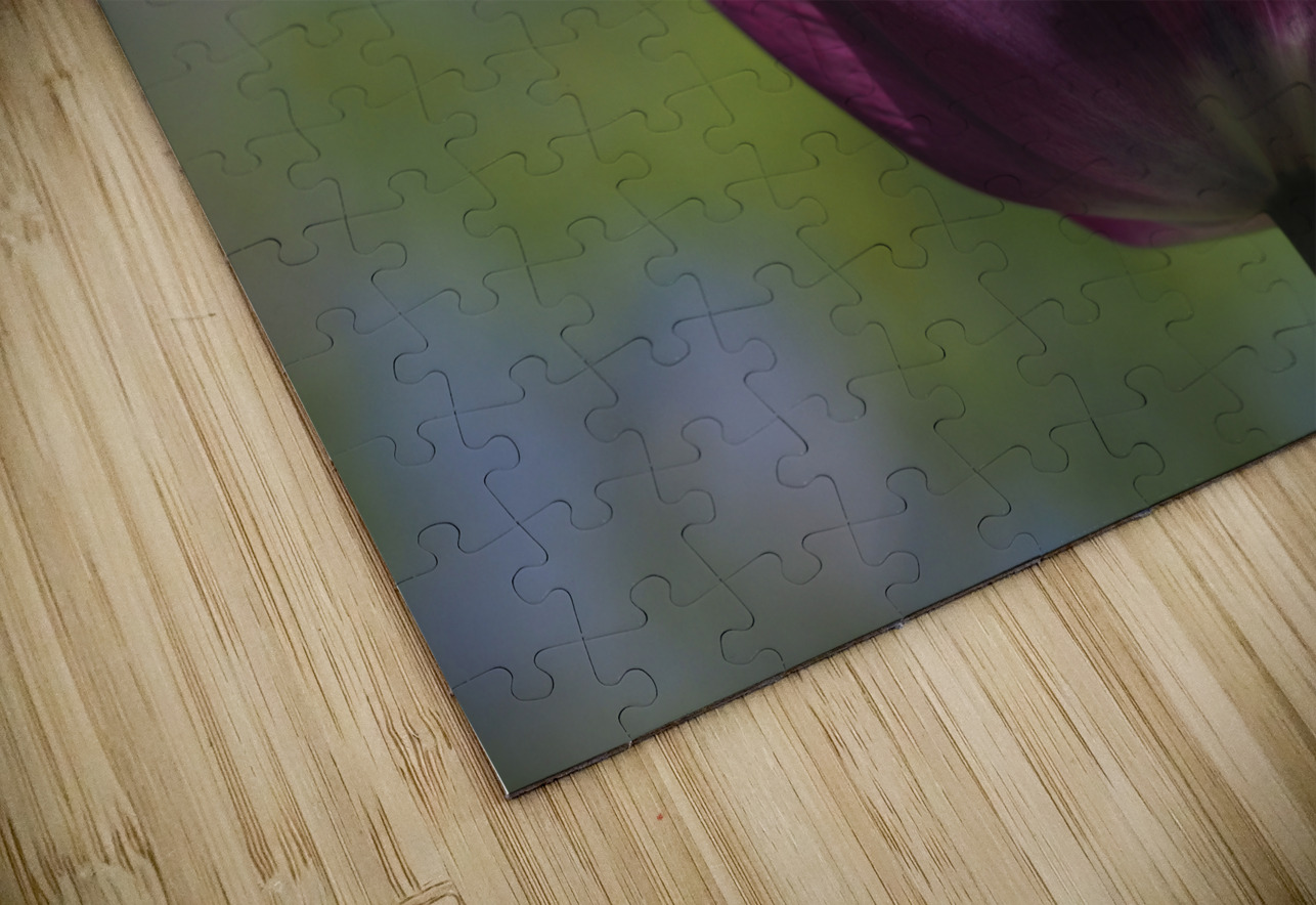 Perfect Day Suzanne Bonin Puzzle