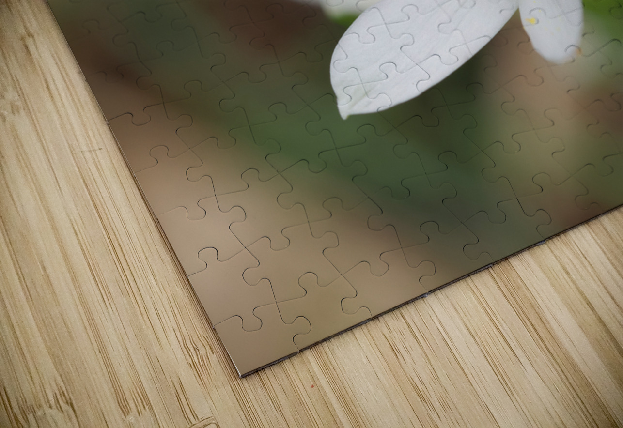 Tiniest World Suzanne Bonin Puzzle