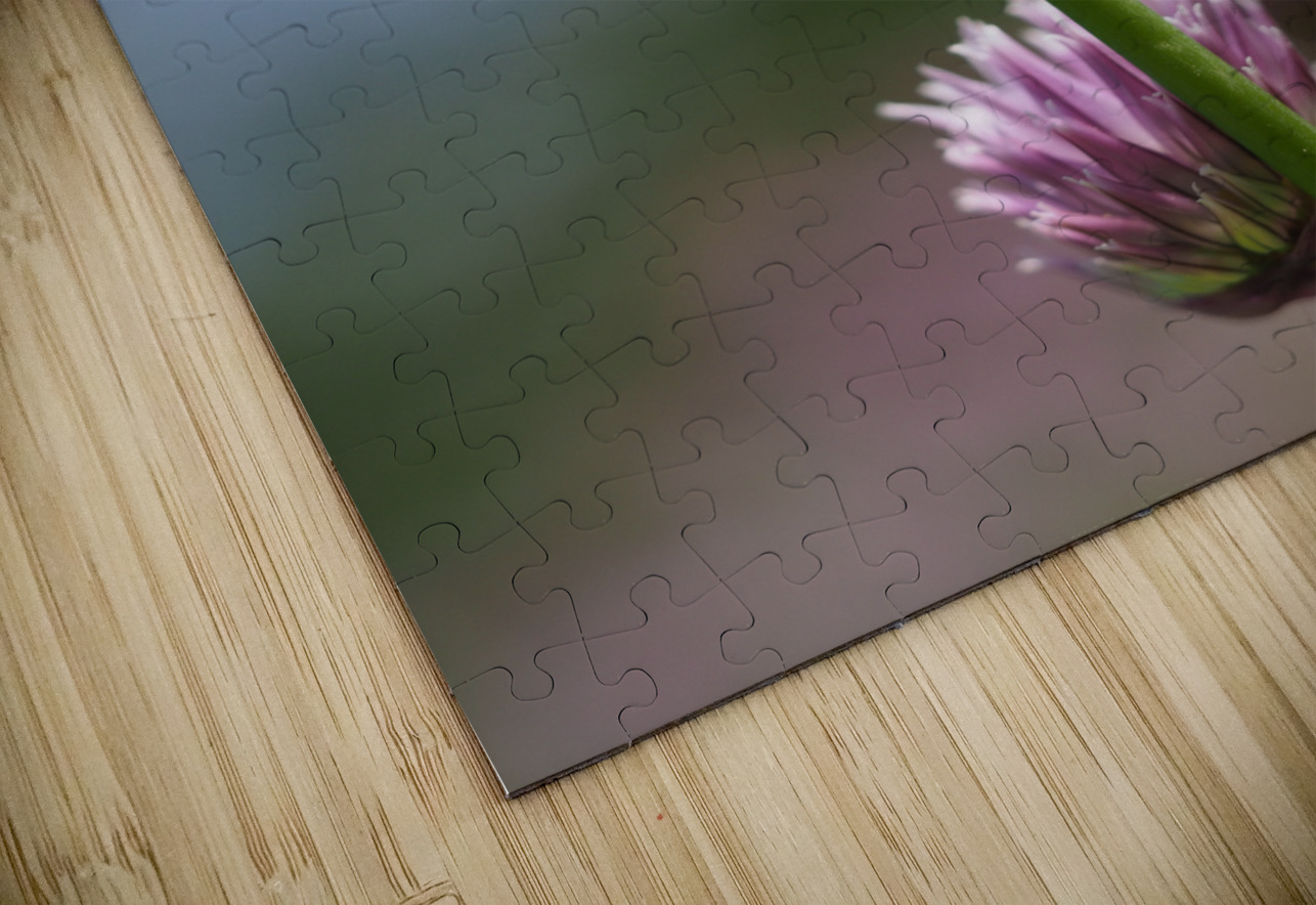 Pink Onion Suzanne Bonin Puzzle