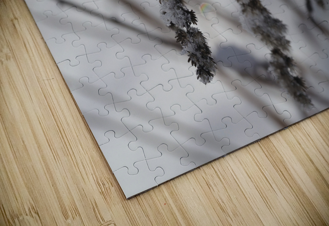 Frozen Goldenrod Suzanne Bonin Puzzle