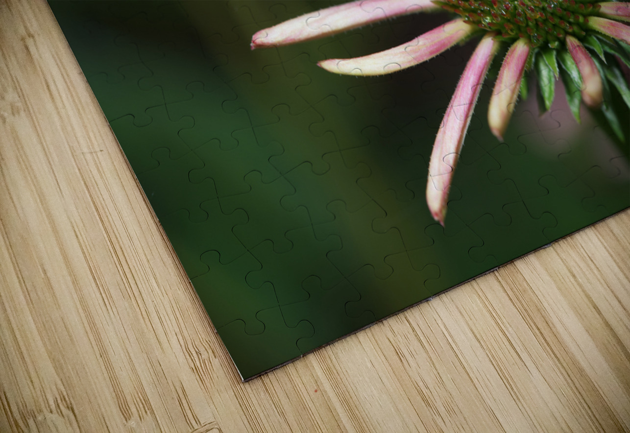 Good Morning Suzanne Bonin Puzzle