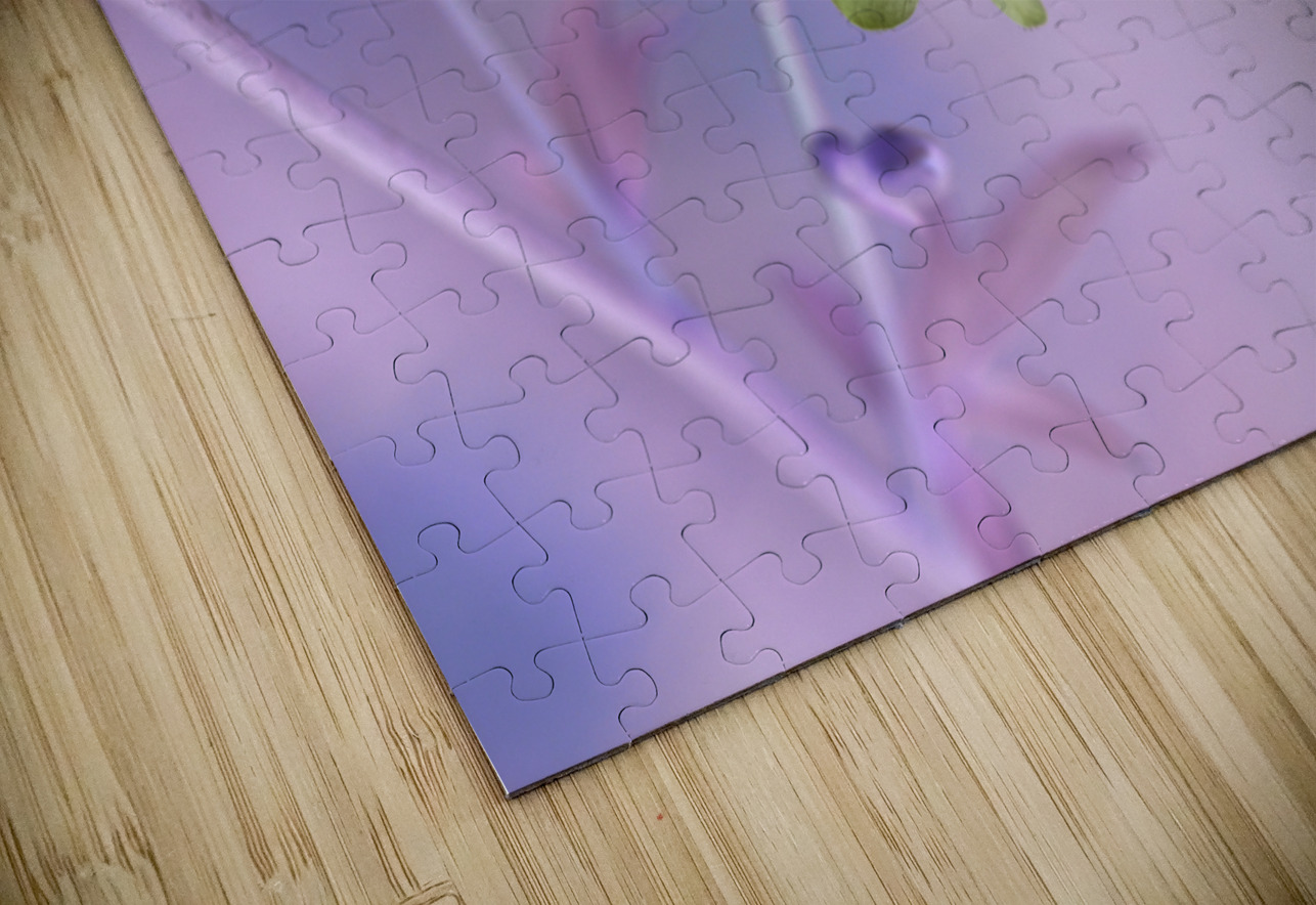 Jacob s Ladder Suzanne Bonin Puzzle