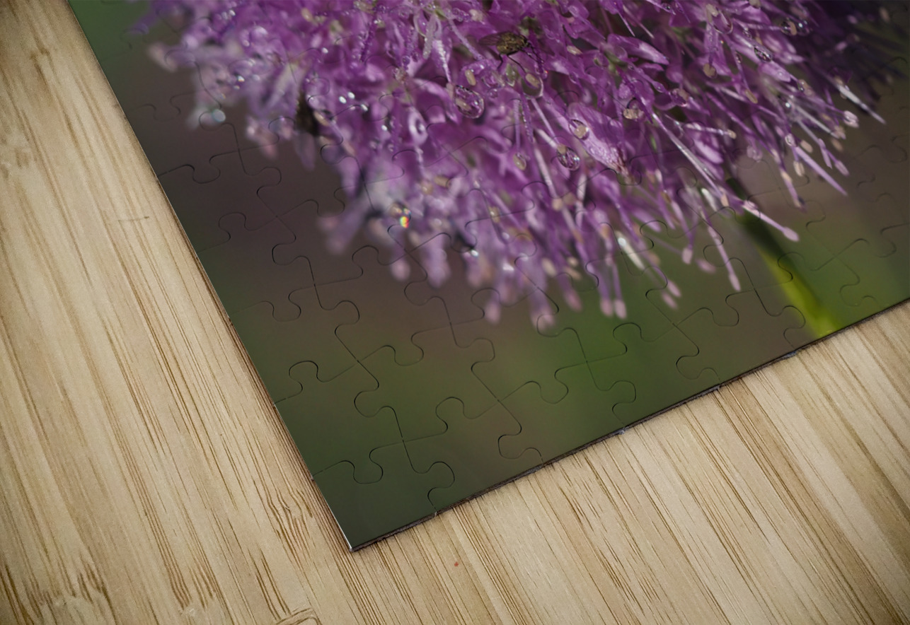 Jewels In Nature Suzanne Bonin Puzzle