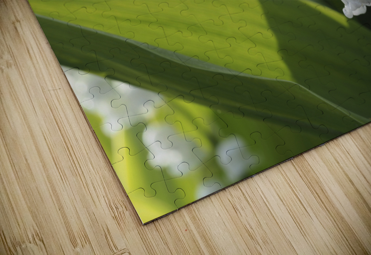 May Lilies Suzanne Bonin Puzzle