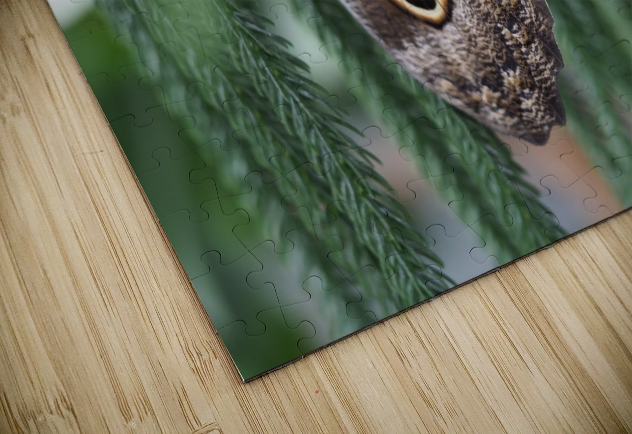 Owl Butterfly Suzanne Bonin Puzzle