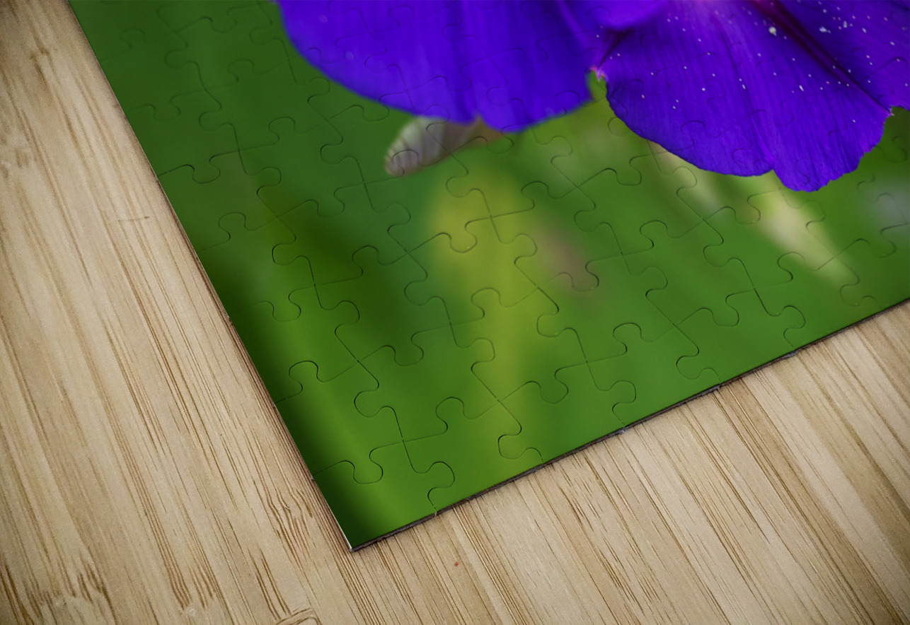 Purple Morning Glories Suzanne Bonin Puzzle