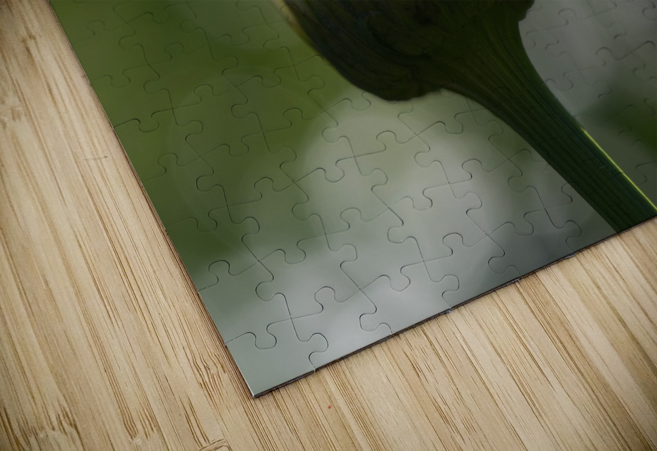 Tranquility Suzanne Bonin Puzzle