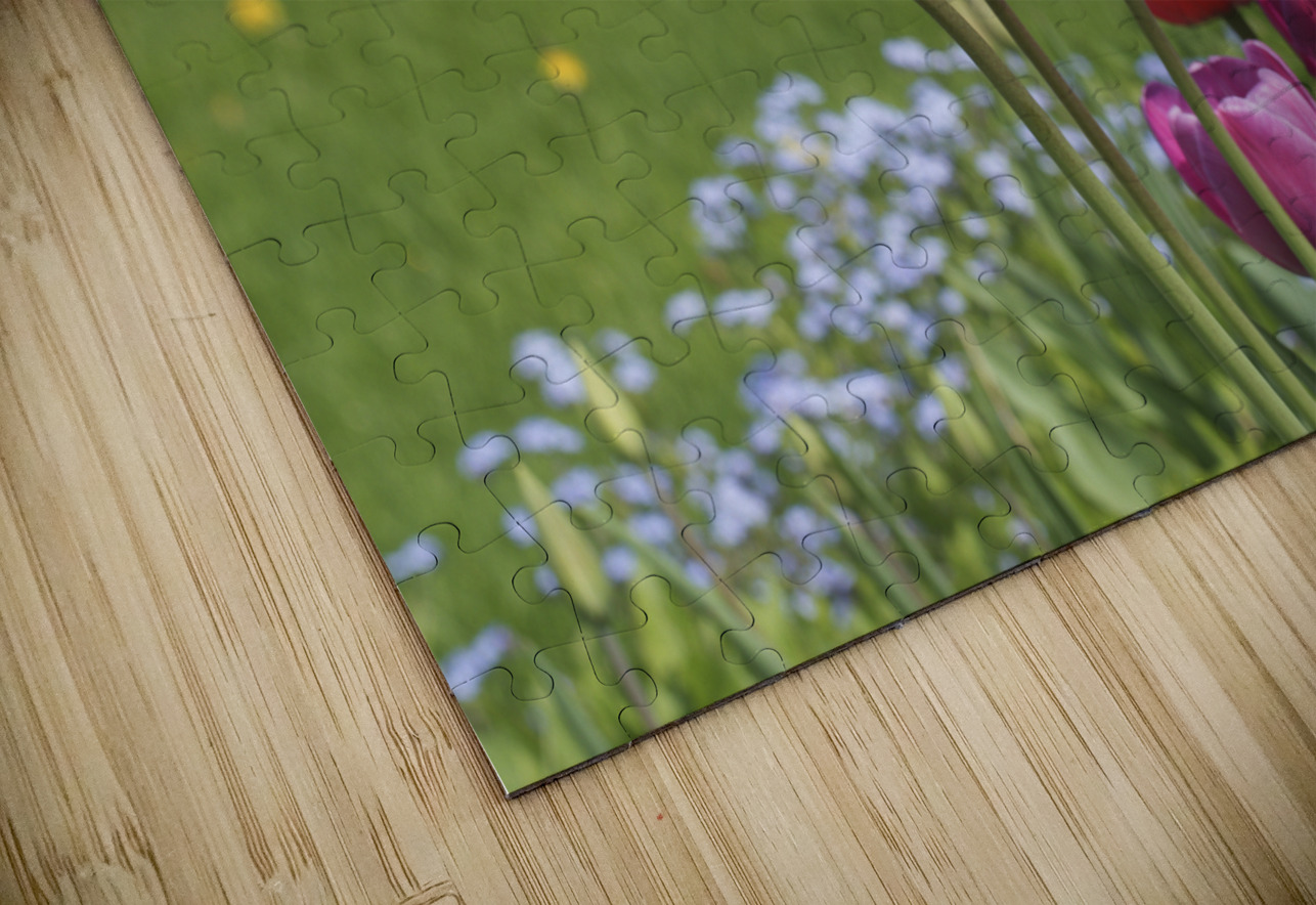 Nuances Suzanne Bonin Puzzle