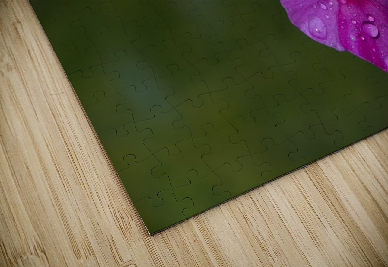 Garden Phlox with Droplets Suzanne Bonin Puzzle