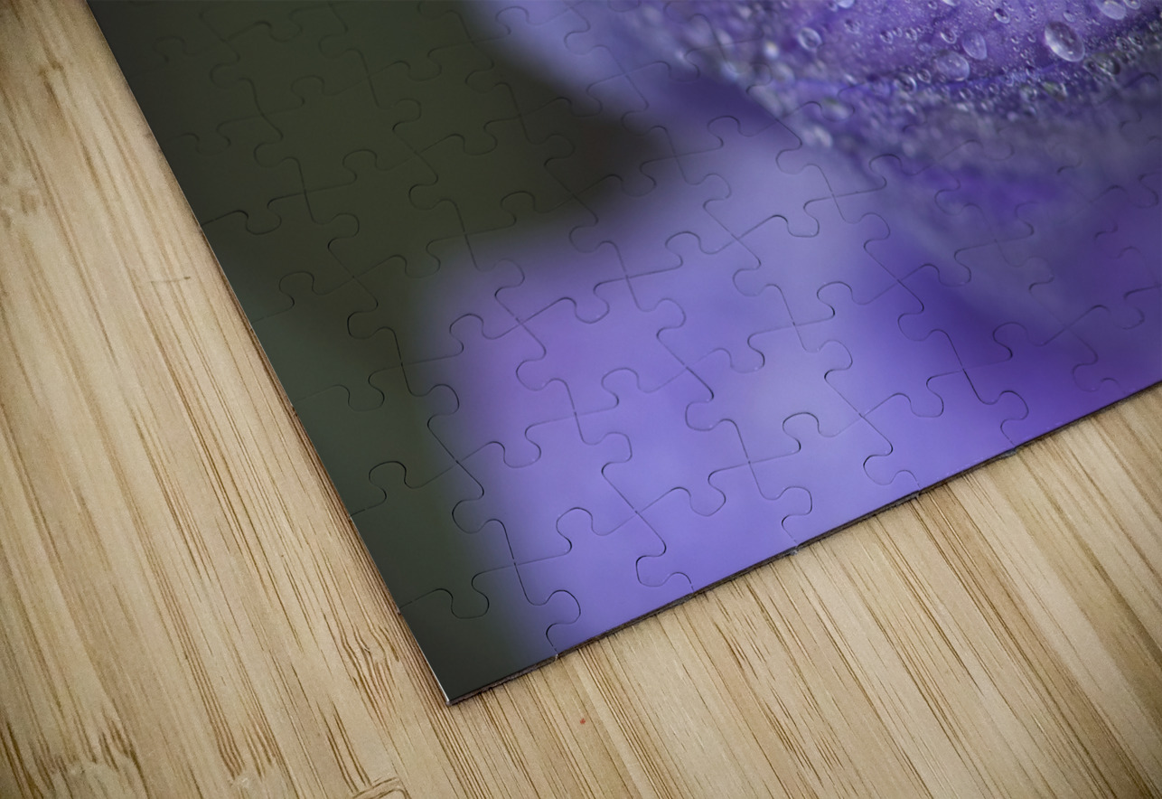 Droplets on a Bellflower Suzanne Bonin Puzzle