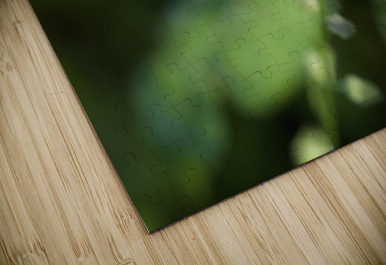 Forget Me Not with Tiny Rainbows Suzanne Bonin Puzzle