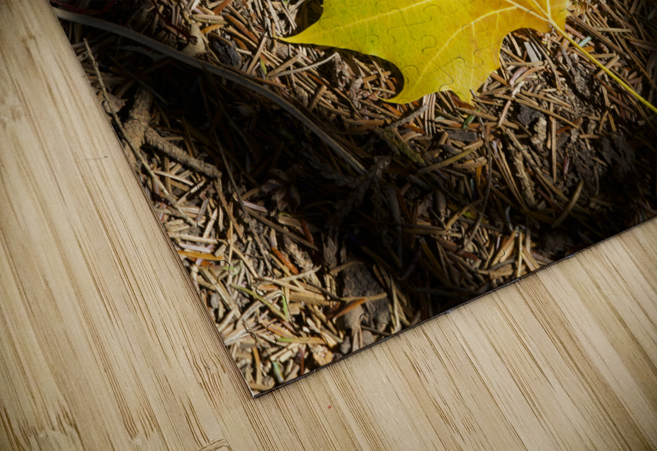 Single Maple Leaf Suzanne Bonin Puzzle