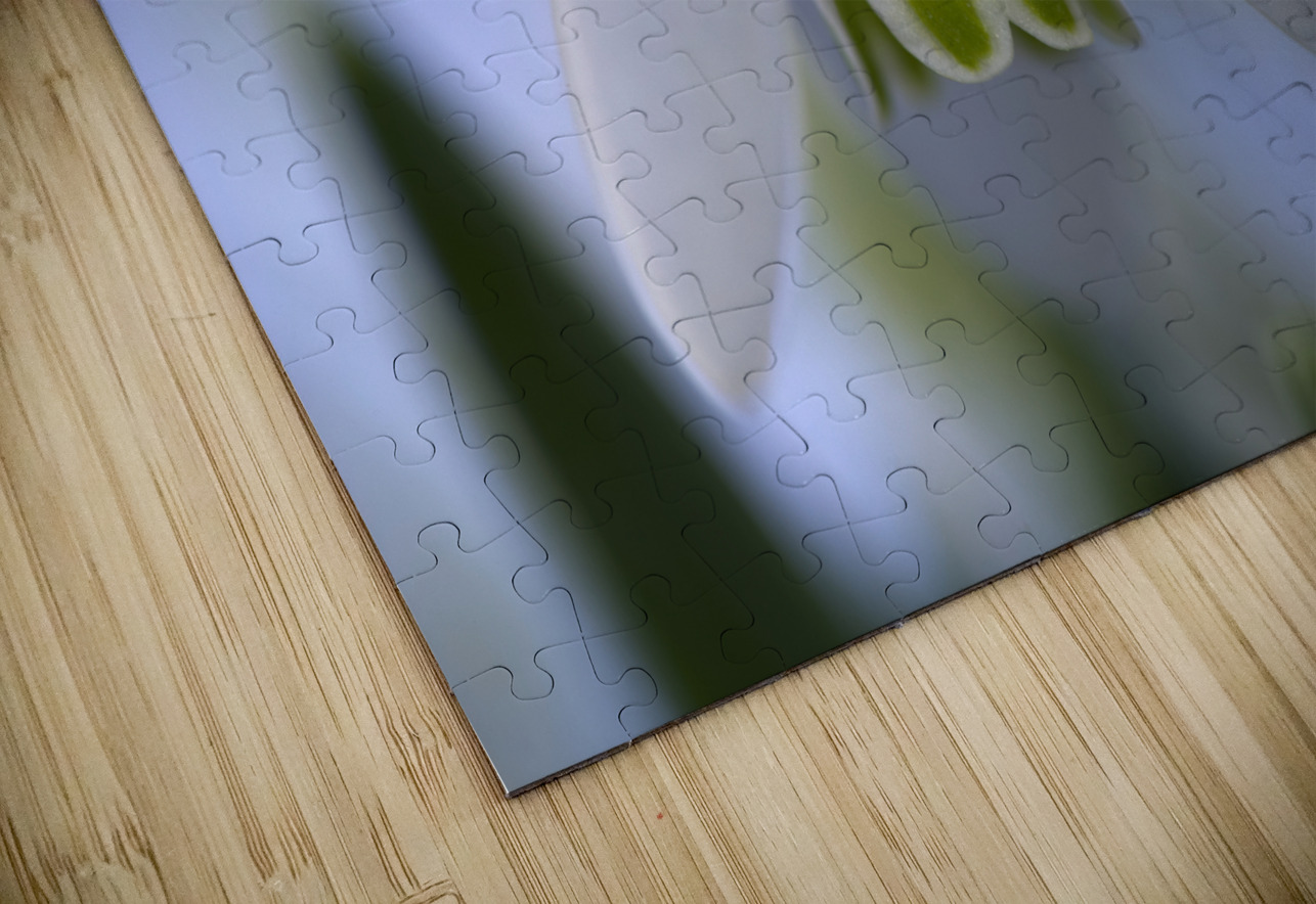 Snowdrop Bulb Suzanne Bonin Puzzle