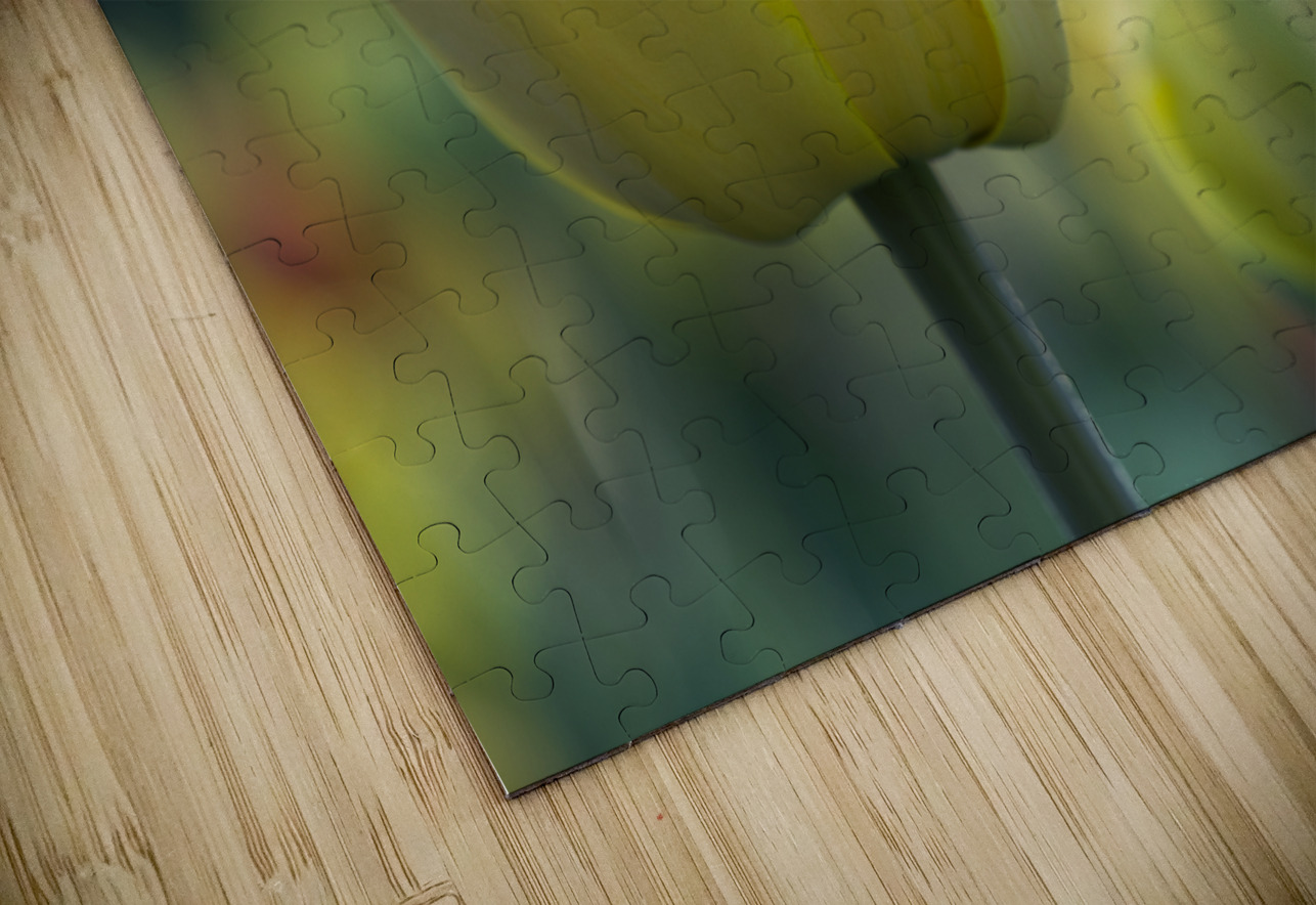 In My Dream Suzanne Bonin Puzzle