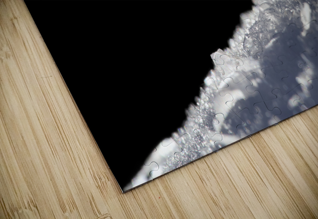 Frozen Soap Bubble Suzanne Bonin Puzzle