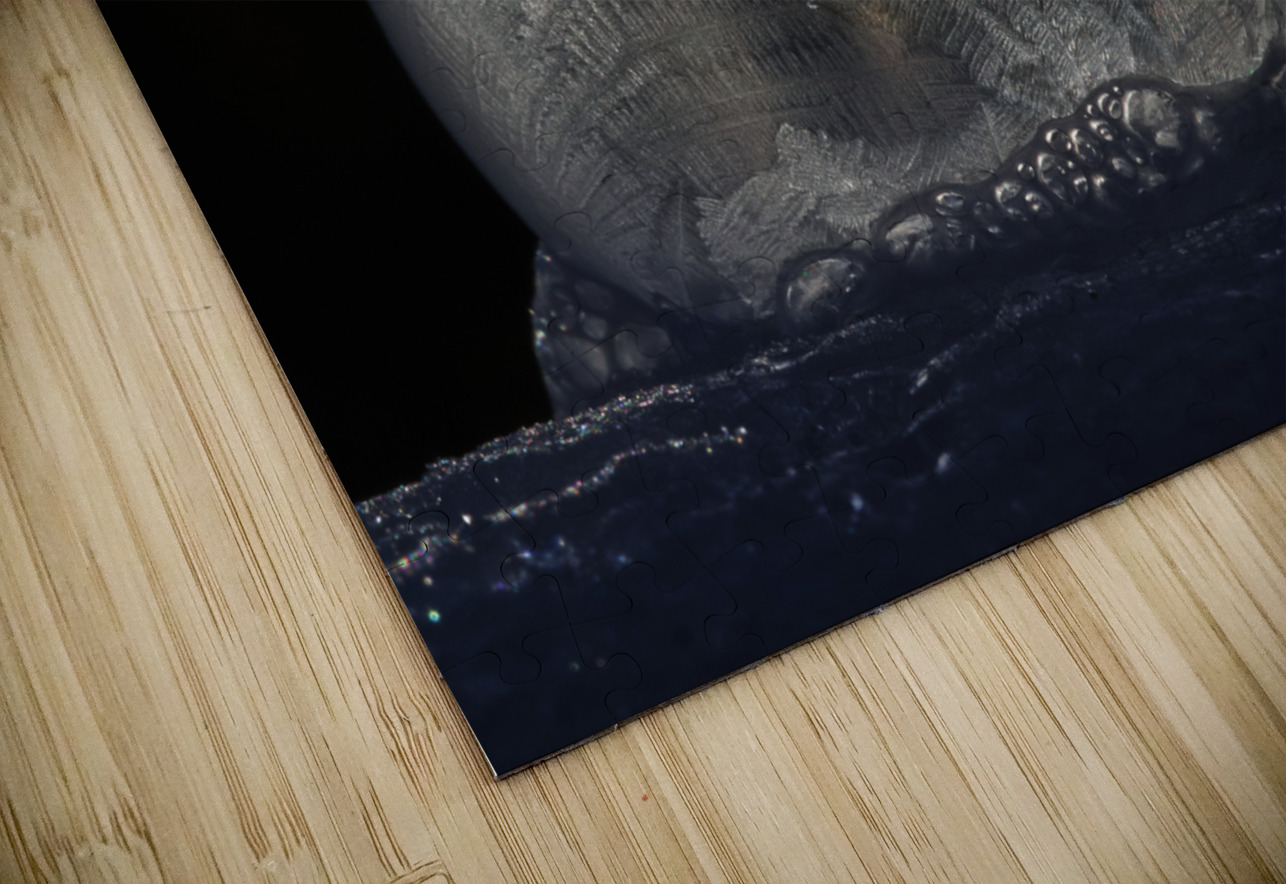 Frozen Bubble Suzanne Bonin Puzzle