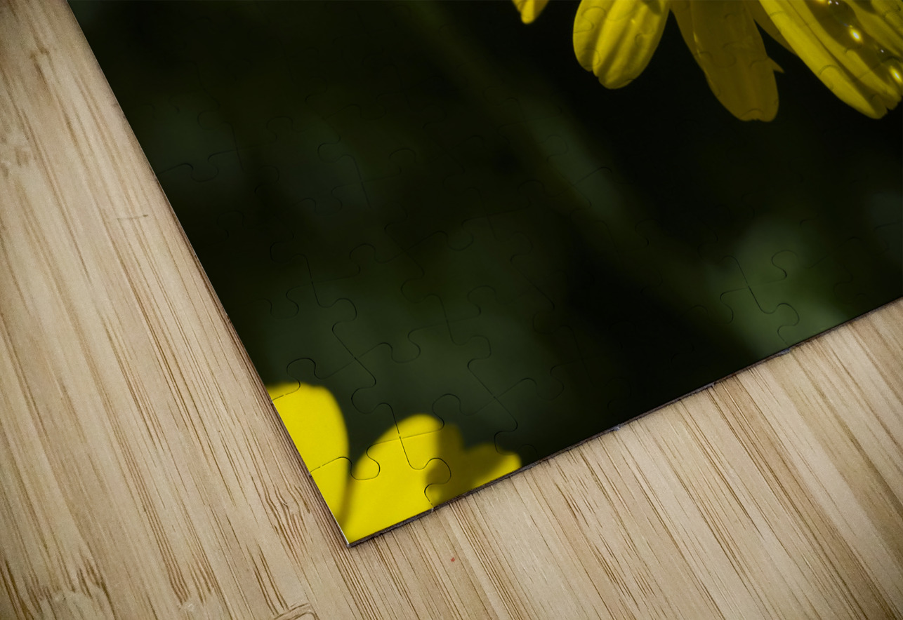 Charming Lady Suzanne Bonin Puzzle