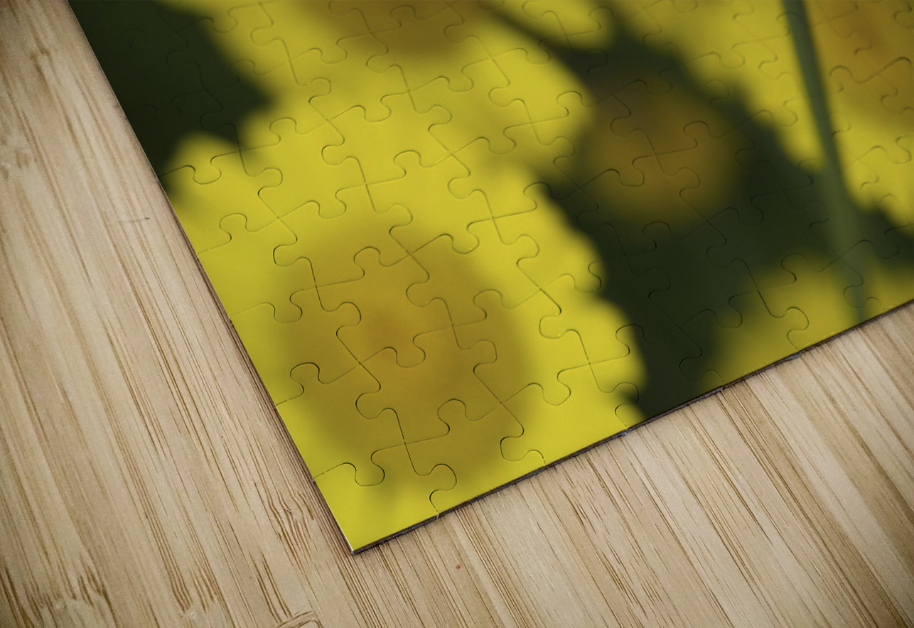 Summer Afternoon Suzanne Bonin Puzzle