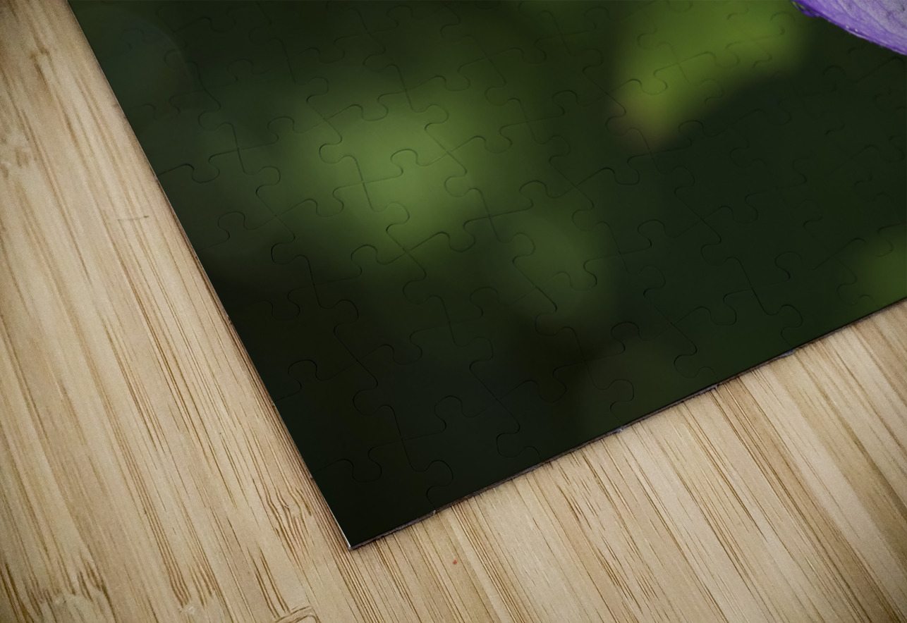 Dewdrops Suzanne Bonin Puzzle