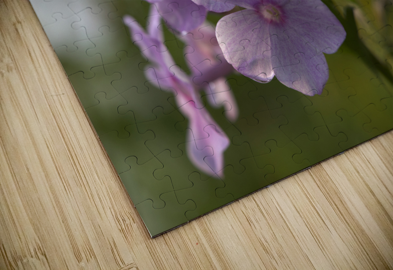 Exquisite Beauties Suzanne Bonin Puzzle