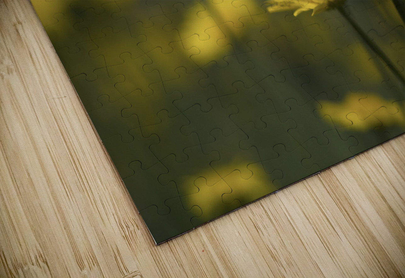 Field of Daisies Suzanne Bonin Puzzle