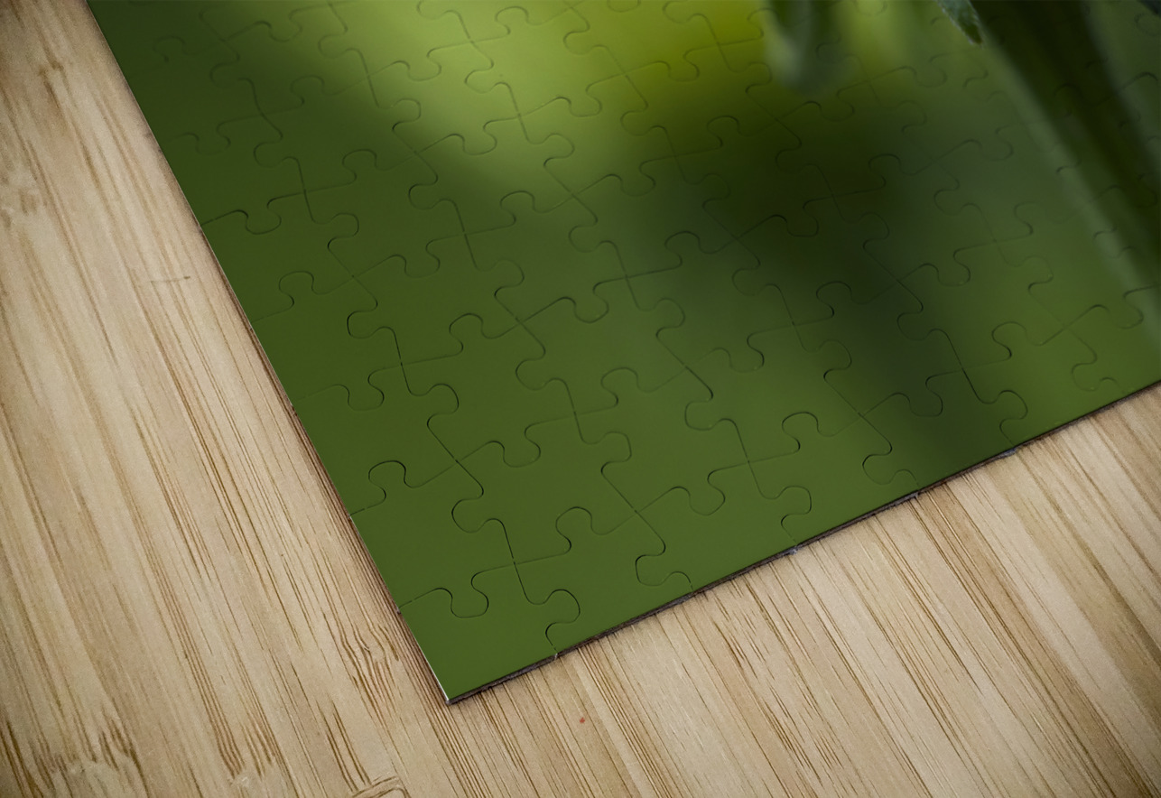 Blooming Coneflower Suzanne Bonin Puzzle