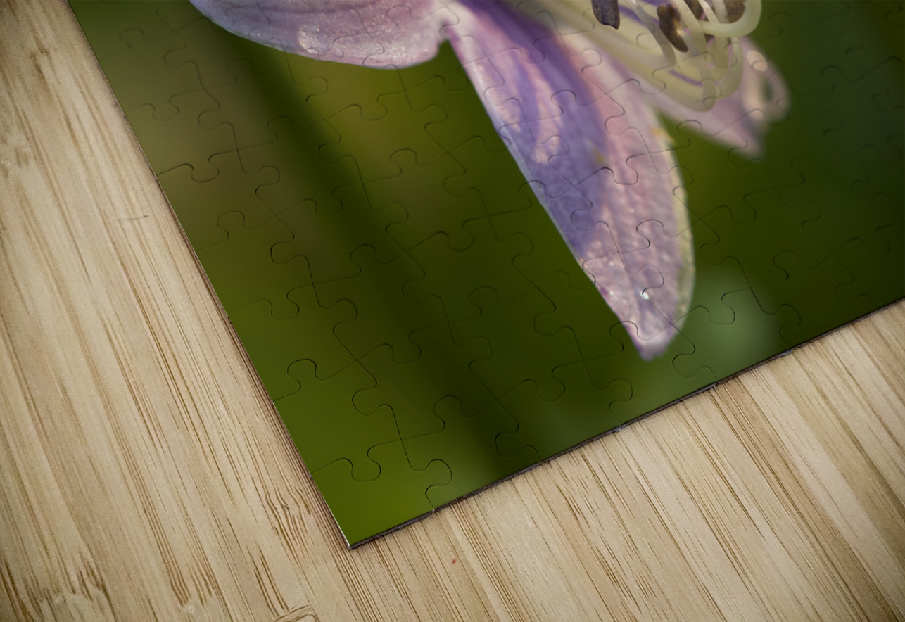 Hosta Flower Suzanne Bonin Puzzle