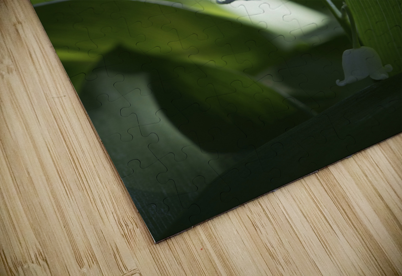 Muguet des Bois Suzanne Bonin Puzzle