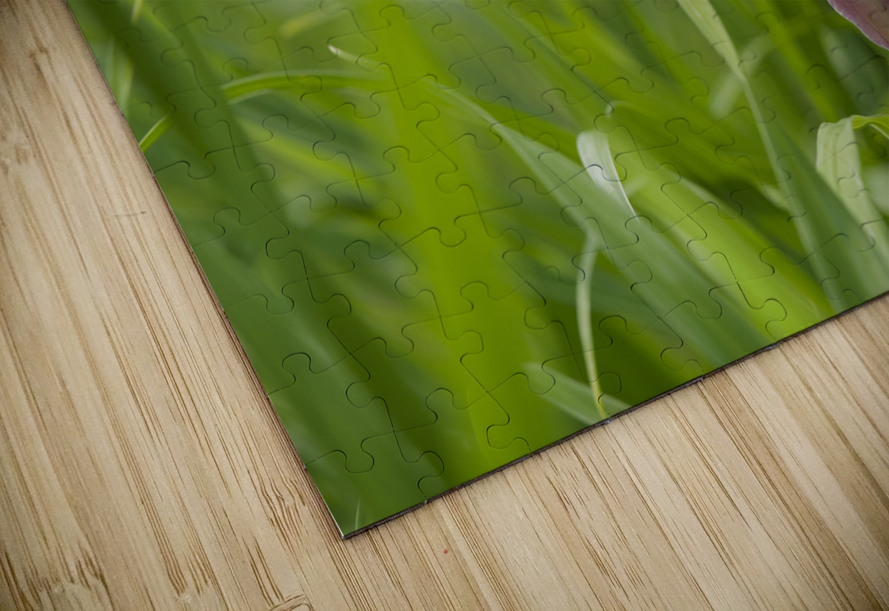 Pretty in Pink Suzanne Bonin Puzzle